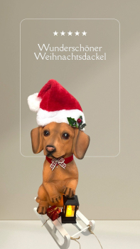 Grosse Dackelfigur auf Schlitten